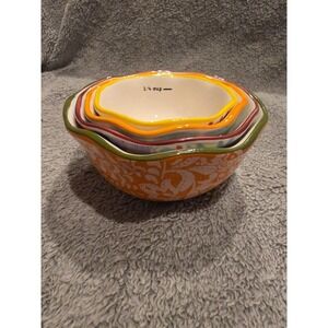The Pioneer Woman Set of 4 Colorful Nesting Measuring Cups Ceramic Baking Cookin